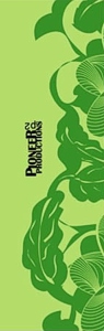 Pioneer Productions Buenos Aires